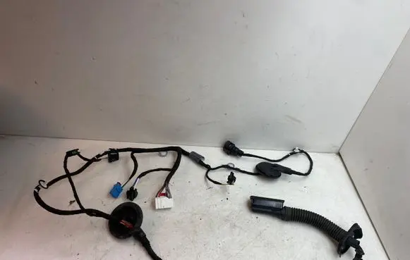 Audi A4 S4 B9 Front door wiring loom 8W0971029AF
