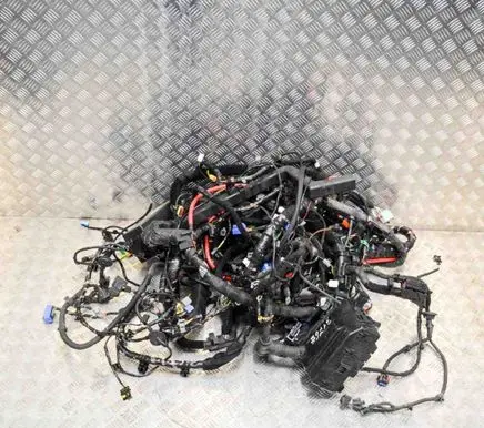Maserati Quattroporte Other wiring loom 7271381830 7154015130