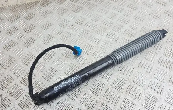 Tailgate/trunk strut/damper