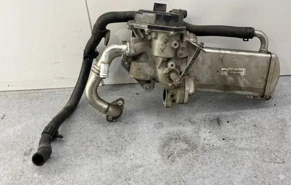 Volkswagen Transporter - Caravelle T5 EGR valve 03L131512DK 1534016602 V29009969E