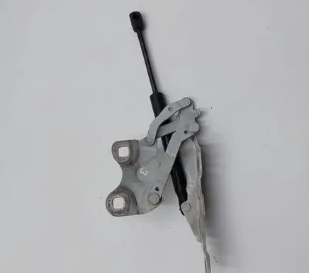 Mini Paceman (R61) Engine bonnet/hood hinges 9801569