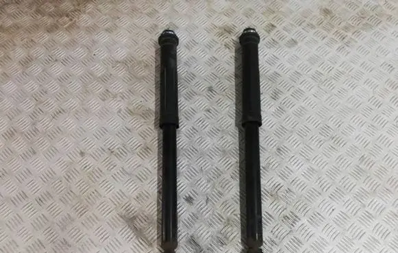 Citroen C4 Cactus Rear shock absorber/damper 485300H040 230810008