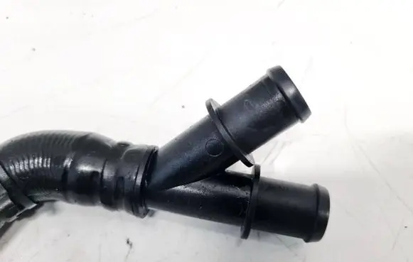 Land Rover Range Rover Evoque L551 Engine coolant pipe/hose