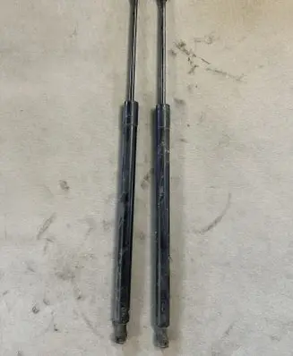 Renault Modus Tailgate/trunk strut/damper 8200219322