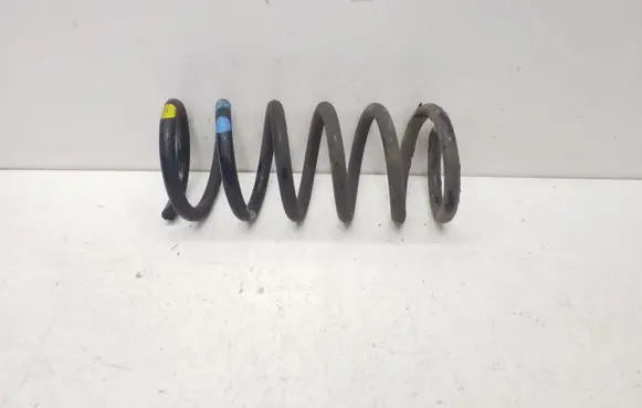 Chevrolet Captiva Rear coil spring