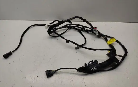 Hyundai Kona I Front door wiring loom 91610K4030 91981J9030