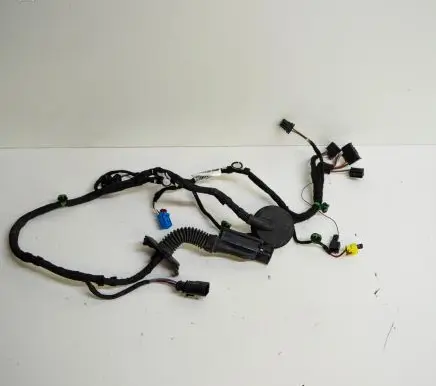 Seat Leon (5F) Front door wiring loom 5F4971030BL
