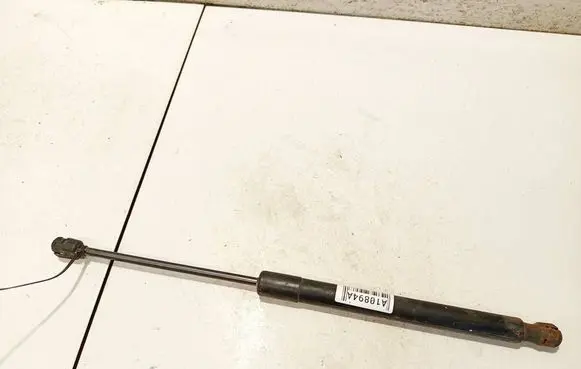 Tailgate/trunk strut/damper