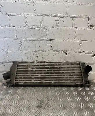 Opel Vivaro Intercooler radiator 8200411160