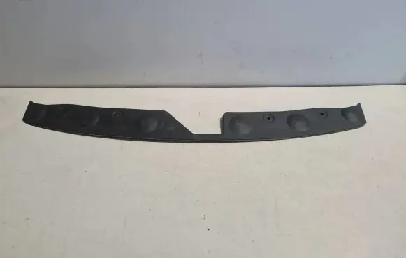 Engine bonnet/hood lock trim molding