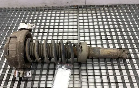 Volkswagen Touareg I Rear shock absorber/damper 7L6513029E