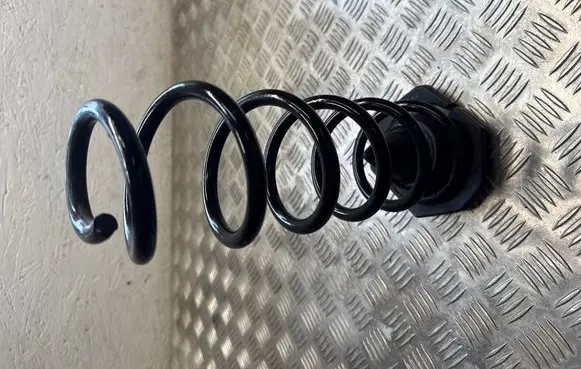 Rear coil spring
