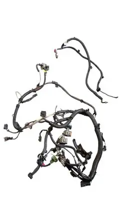 Citroen C3 Wiring harness 