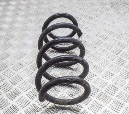 Tesla Model 3 Rear coil spring 104447291E