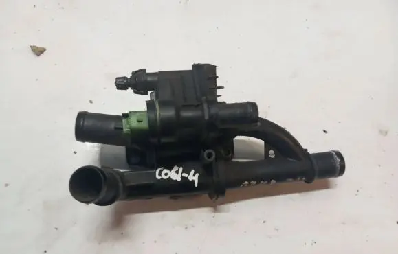 Thermostat/thermostat housing