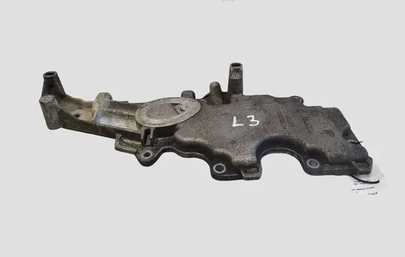 Dacia Duster other engine part 8200114807 H7700110219