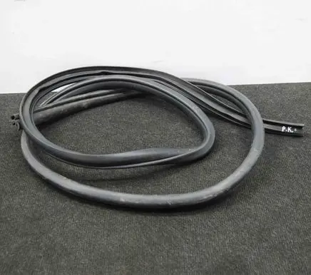 Toyota Hilux (AN10, AN20, AN30) Rubber seal front coupe door 