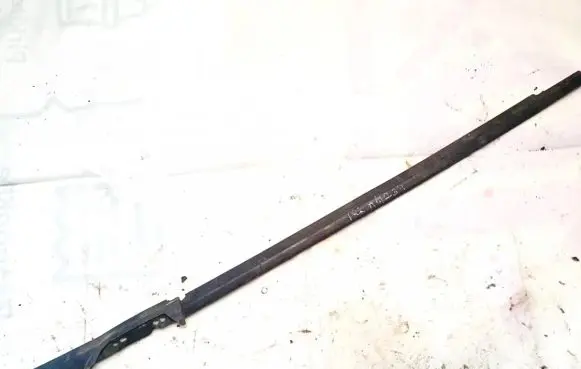 Front door glass trim molding