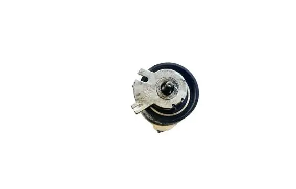 Renault Vel Satis Belt tensioner pulley t43117