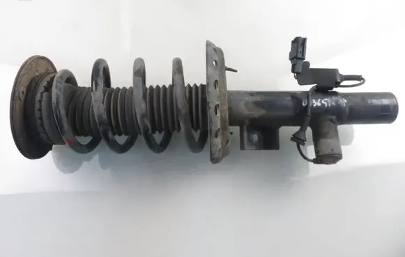 Ford S-MAX Front shock absorber with coil spring
