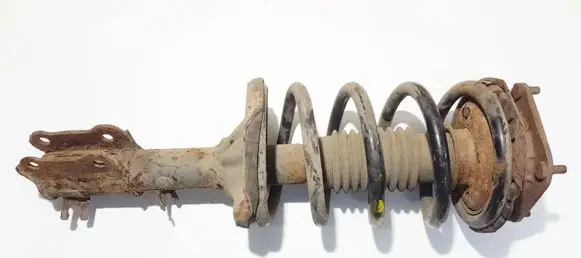 KIA Carnival Front shock absorber/damper