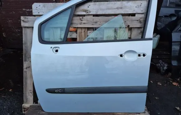 Renault Modus Front door