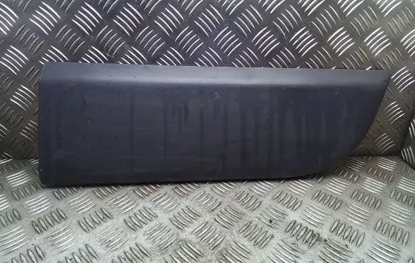 Front door trim (molding)