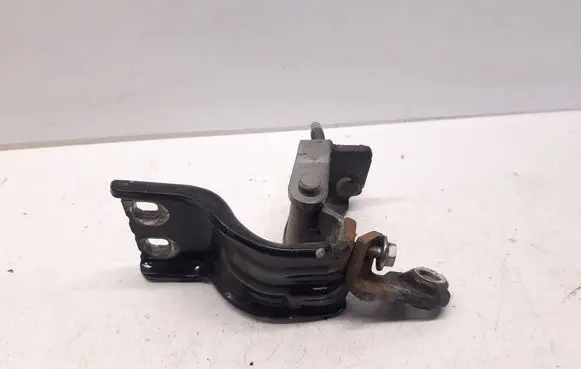 Volkswagen PASSAT B6 Tailgate/trunk/boot hinge 3C9827301E