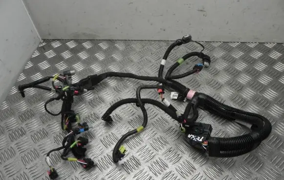 Tesla Model Y Other wiring loom P206876700C