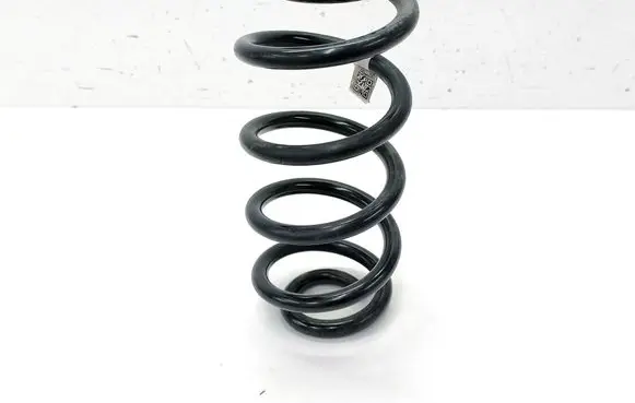 Chevrolet Bolt Rear coil spring 42477247