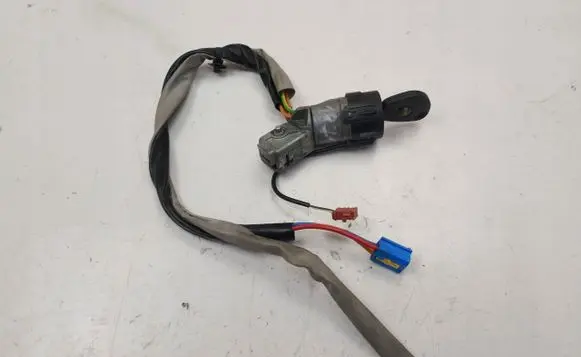 Citroen Berlingo Ignition lock DELPHI9632897680