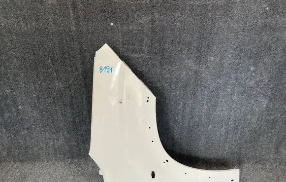 Peugeot Rifter Fender