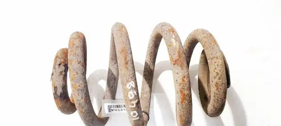 Rear coil spring