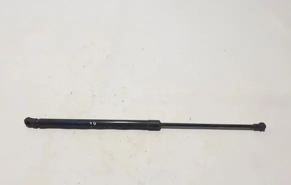 Tailgate strut