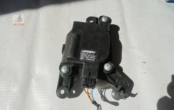 Hyundai Genesis Engine WOORY