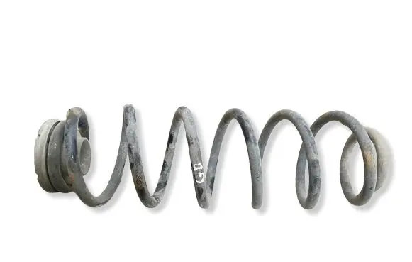 Volkswagen Bora Rear coil spring 