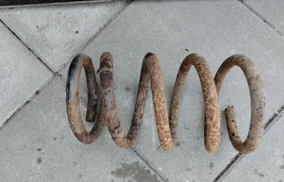 KIA Carnival Rear coil spring 553504D250