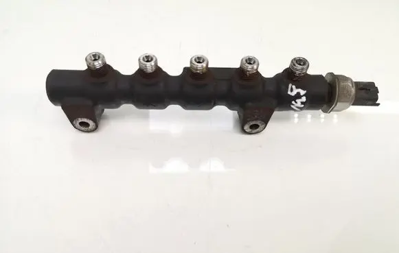 Ford Focus Fuel main line pipe 9654592680 9658227880