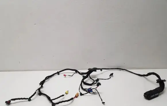 Front door wiring loom