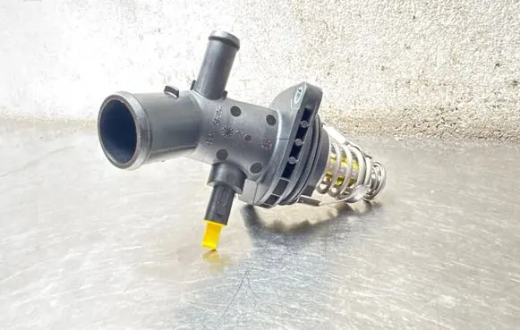 Opel Insignia A Thermostat 72489033 TM58101