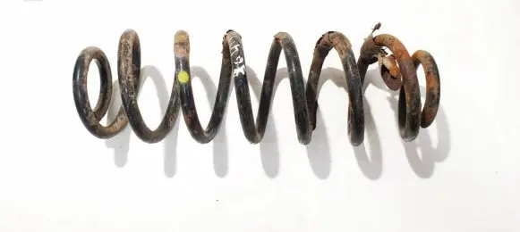 Volkswagen PASSAT B6 Rear coil spring