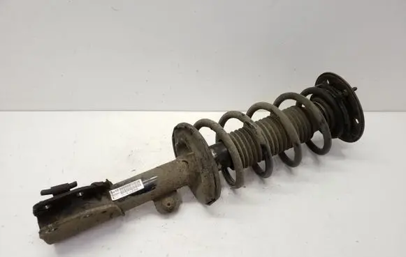 Chevrolet Captiva Front shock absorber with coil spring 95166266
