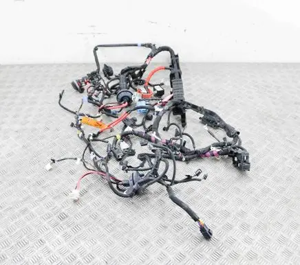 Tesla Model 3 Other wiring loom 256796407C