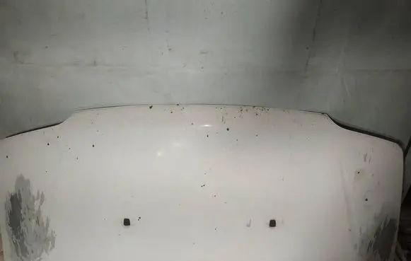 Engine bonnet/hood