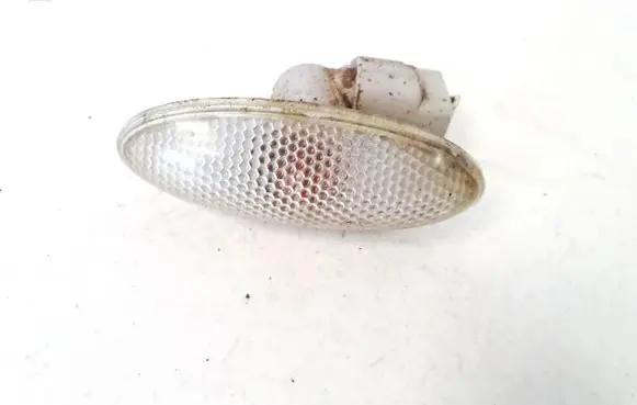 Front fender indicator light
