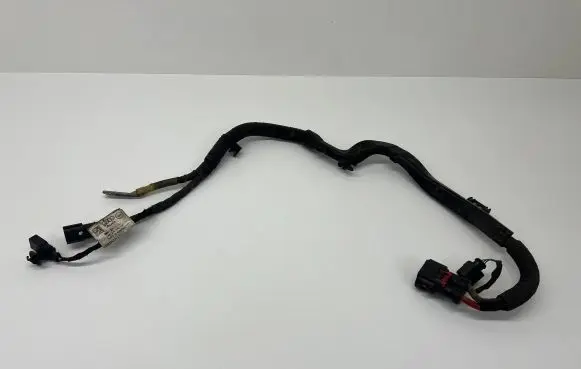 Audi A5 Other wiring loom 8W1971111C TAB026214G B026214