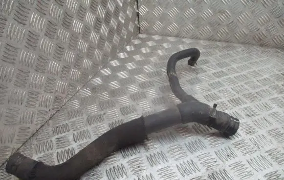 Renault Scenic I Engine coolant pipe/hose