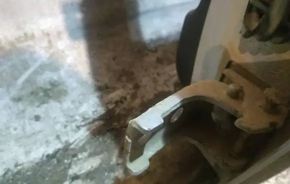Citroen C3 Rear door lower hinge