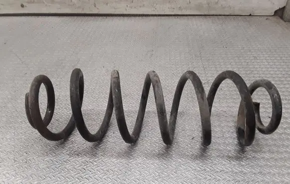 Rear coil spring
