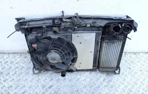 Citroen C3 Radiator set 